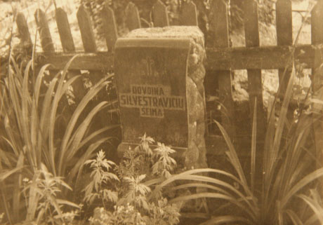 Davainių - Silvestraičių giminės kapai, Kalnujuose prie Raseinių. Jono Kubiliaus nuotrauka